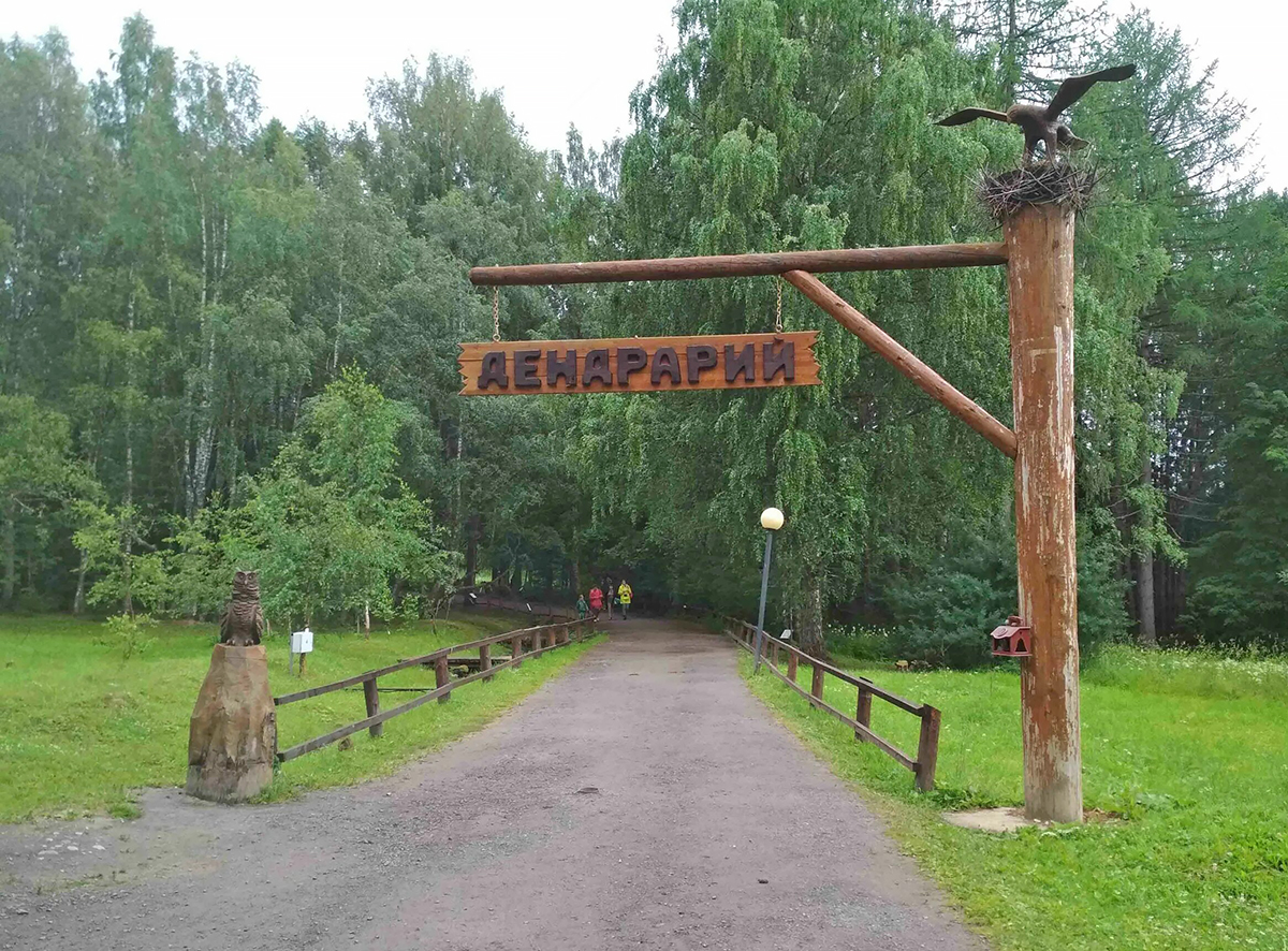 Дендрарий в заповеднике Кивач