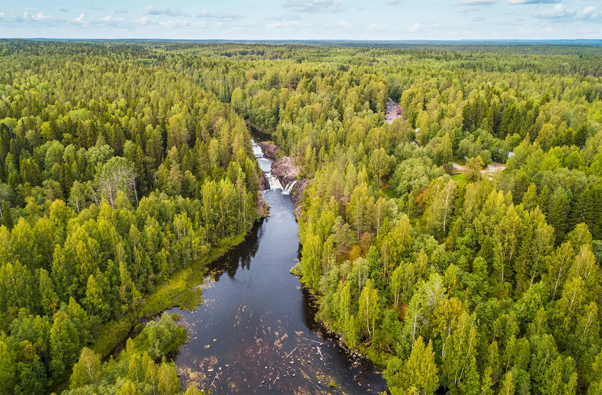 Окрестности водопада Кивач с высоты