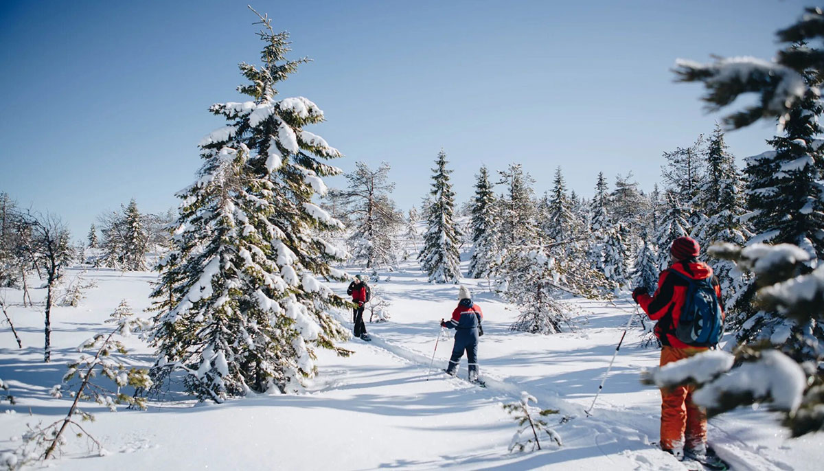 Горные лыжи и лыжные прогулки в Карелии