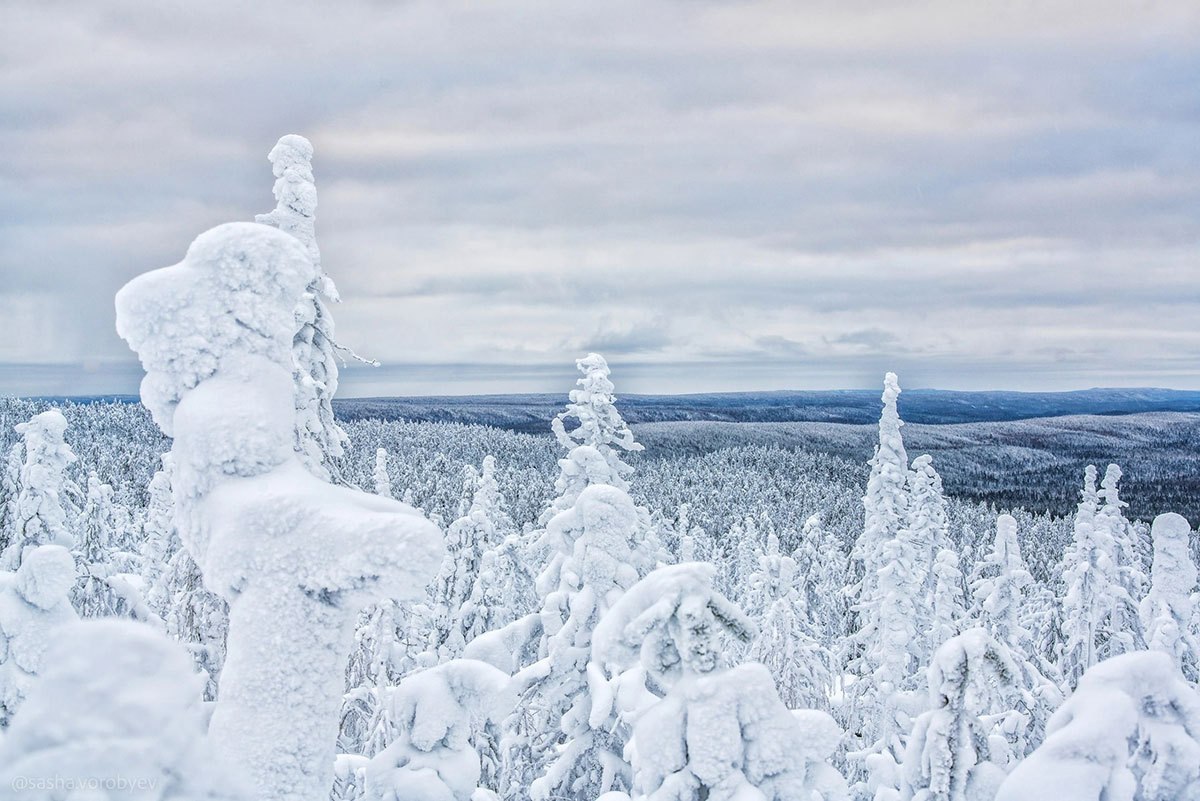 Гора Воттоваара зимой